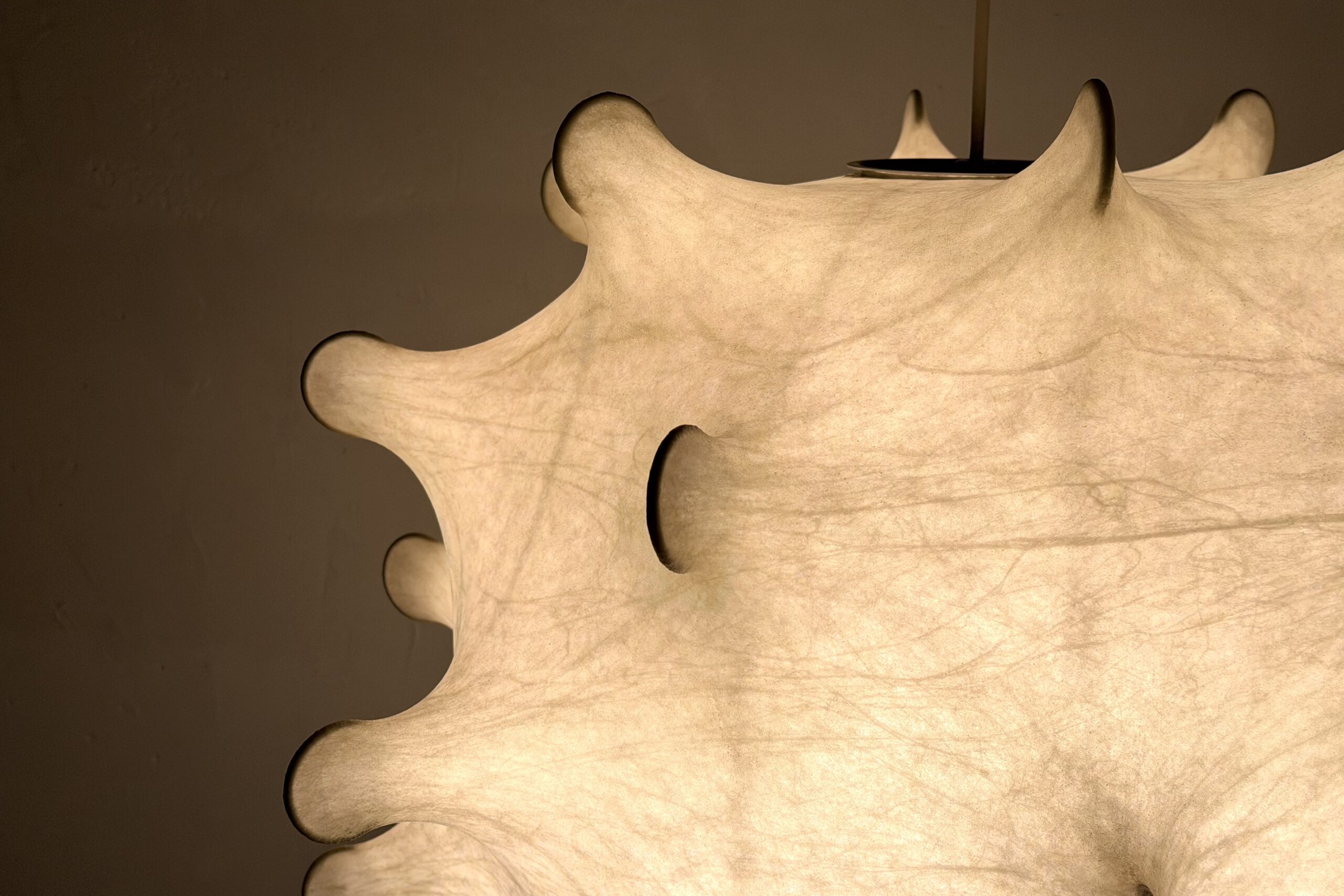 Suspension Teraxacum par Achille & Pier Giacomo Castiglioni pour -1960s – Image 5